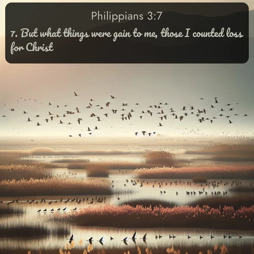citation biblique : 7. But what things were gain to me, those I counted loss for Christ.
 sur fond image nature