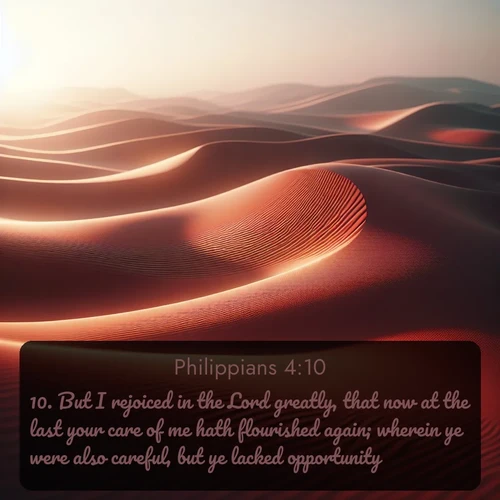 citation biblique : 10. But I rejoiced in the Lord greatly, that now at the last your care of me hath flourished again; wherein ye were also careful, but ye lacked opportunity.
 sur fond image nature