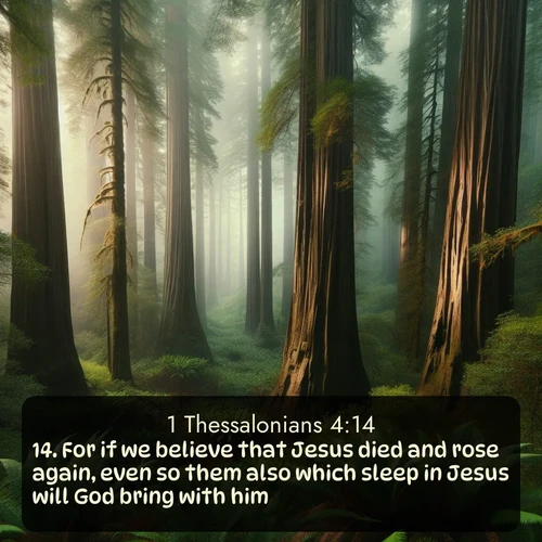 citation biblique : 14. For if we believe that Jesus died and rose again, even so them also which sleep in Jesus will God bring with him.
 sur fond image nature