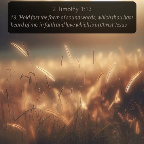 citation biblique : 13. Hold fast the form of sound words, which thou hast heard of me, in faith and love which is in Christ Jesus.
 sur fond image nature