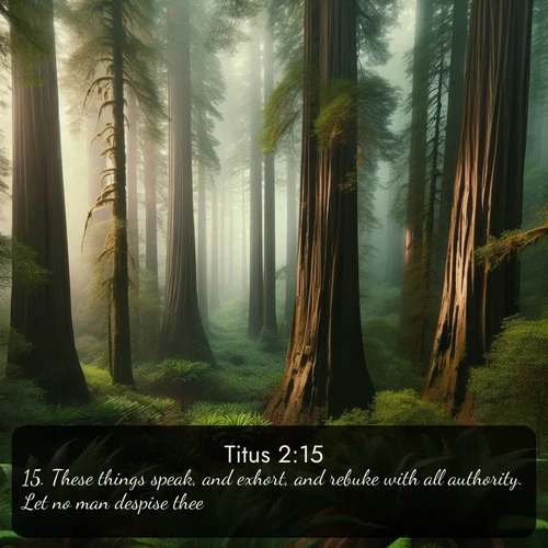 KJV Titus  ; image nature: image with the bible verse :These things speak, and exhort, and rebuke with all authority. Let no man despise thee. ; Dive into a gallery of Bible verses illustrated by tropical beach scenes, featuring sparkling waves, seashells, and radiant sunrises. These images evoke divine peace and joy. Download and share inspiring verses like KJV Titus 2:15. Current verse is overlayed with the thematic nature scene : Coastal redwoods disappear into the fog high above a fern grove. ; 2:15