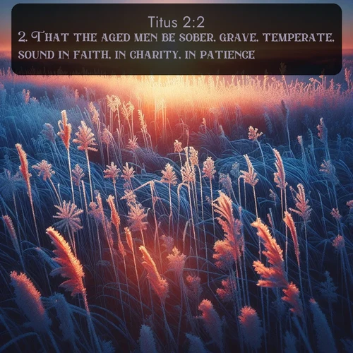 citation biblique : 2. That the aged men be sober, grave, temperate, sound in faith, in charity, in patience.
 sur fond image nature