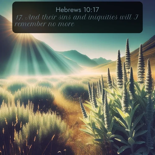 KJV Hebrews  ; image nature: image with the bible verse :And their sins and iniquities will I remember no more. ; Download Bible verse images paired with breathtaking nature photos like golden deserts, shimmering seas, and blossoming orchards. These high-quality, free images are perfect for wallpapers or sharing. Verses include KJV Hebrews 10:17. Current verse is overlayed with the thematic nature scene : Summer heat brings out the scent of sage in mountain meadows. ; 10:17