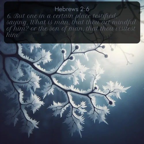 KJV Hebrews 2:6 overlaying nature image scene: Winter frost coats bare branches in delicate crystal.;6. But one in a certain place testified, saying, What is man, that thou art mindful of him? or the son of man, that thou visitest him?