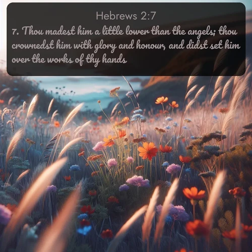 KJV Hebrews 2:7 overlaying nature image scene: Summer wildflowers wave in the breeze on coastal bluffs.;7. Thou madest him a little lower than the angels; thou crownedst him with glory and honour, and didst set him over the works of thy hands: