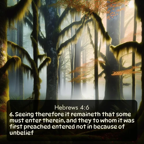 citation biblique : 6. Seeing therefore it remaineth that some must enter therein, and they to whom it was first preached entered not in because of unbelief:
 sur fond image nature