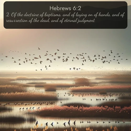 citation biblique : 2. Of the doctrine of baptisms, and of laying on of hands, and of resurrection of the dead, and of eternal judgment.
 sur fond image nature