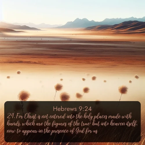 citation biblique : 24. For Christ is not entered into the holy places made with hands, which are the figures of the true; but into heaven itself, now to appear in the presence of God for us:
 sur fond image nature