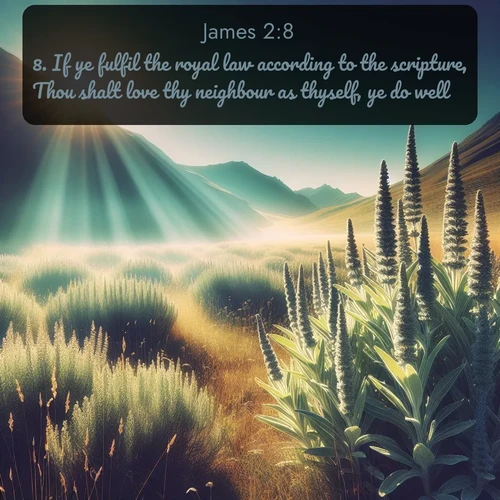 citation biblique : 8. If ye fulfil the royal law according to the scripture, Thou shalt love thy neighbour as thyself, ye do well:
 sur fond image nature