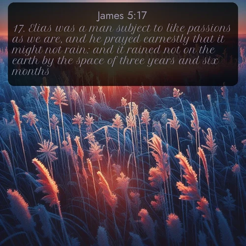 citation biblique : 17. Elias was a man subject to like passions as we are, and he prayed earnestly that it might not rain: and it rained not on the earth by the space of three years and six months.
 sur fond image nature