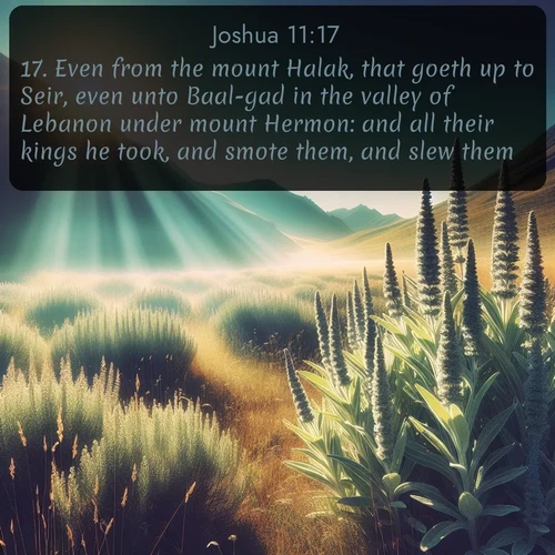 citation biblique : 17. Even from the mount Halak, that goeth up to Seir, even unto Baal-gad in the valley of Lebanon under mount Hermon: and all their kings he took, and smote them, and slew them.
 sur fond image nature