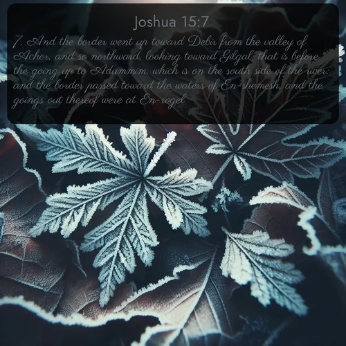 citation biblique : 7. And the border went up toward Debir from the valley of Achor, and so northward, looking toward Gilgal, that is before the going up to Adummim, which is on the south side of the river: and the border passed toward the waters of En-shemesh, and the goings out thereof were at En-rogel:
 sur fond image nature