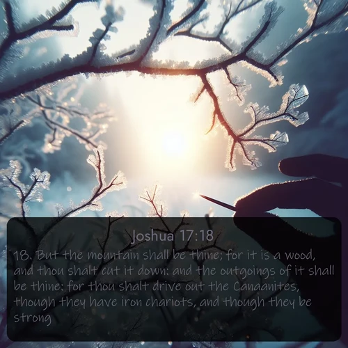 citation biblique : 18. But the mountain shall be thine; for it is a wood, and thou shalt cut it down: and the outgoings of it shall be thine: for thou shalt drive out the Canaanites, though they have iron chariots, and though they be strong.
 sur fond image nature