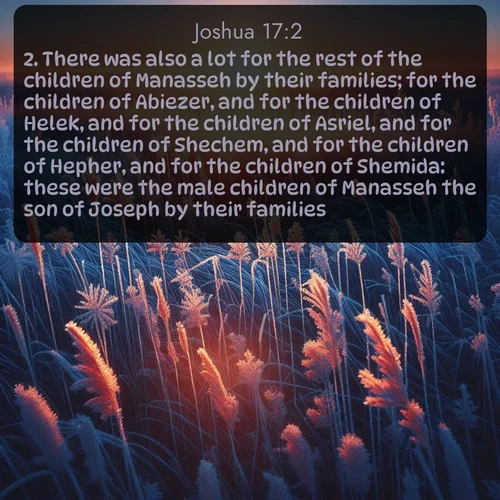 citation biblique : 2. There was also a lot for the rest of the children of Manasseh by their families; for the children of Abiezer, and for the children of Helek, and for the children of Asriel, and for the children of Shechem, and for the children of Hepher, and for the children of Shemida: these were the male children of Manasseh the son of Joseph by their families.
 sur fond image nature