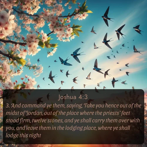 citation biblique : 3. And command ye them, saying, Take you hence out of the midst of Jordan, out of the place where the priests&#039; feet stood firm, twelve stones, and ye shall carry them over with you, and leave them in the lodging place, where ye shall lodge this night.
 sur fond image nature