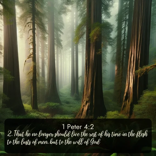 citation biblique : 2. That he no longer should live the rest of his time in the flesh to the lusts of men, but to the will of God.
 sur fond image nature