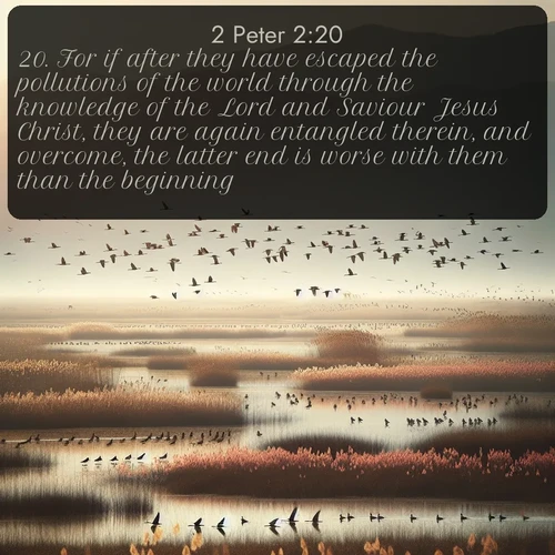 citation biblique : 20. For if after they have escaped the pollutions of the world through the knowledge of the Lord and Saviour Jesus Christ, they are again entangled therein, and overcome, the latter end is worse with them than the beginning.
 sur fond image nature