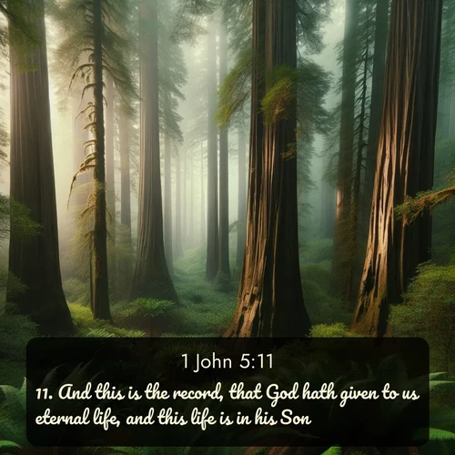 citation biblique : 11. And this is the record, that God hath given to us eternal life, and this life is in his Son.
 sur fond image nature