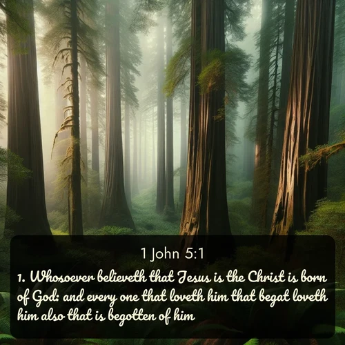 citation biblique : 1. Whosoever believeth that Jesus is the Christ is born of God: and every one that loveth him that begat loveth him also that is begotten of him.
 sur fond image nature