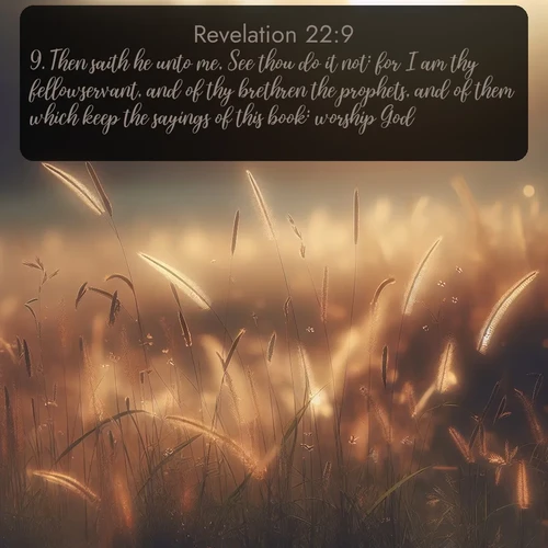 citation biblique : 9. Then saith he unto me, See thou do it not: for I am thy fellowservant, and of thy brethren the prophets, and of them which keep the sayings of this book: worship God.
 sur fond image nature