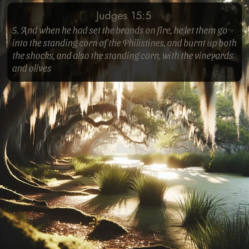 KJV Judges  ; image nature: image with the bible verse :And when he had set the brands on fire, he let them go into the standing corn of the Philistines, and burnt up both the shocks, and also the standing corn, with the vineyards and olives. ; Discover breathtaking Bible verse images combined with vibrant landscapes like rolling hills, blooming gardens, and starry nights. Use them as wallpapers or to inspire others. Download verses like KJV Judges 15:5. Current verse is overlayed with the thematic nature scene : Summer afternoon light filters through Spanish moss in a bayou. ; 15:5
