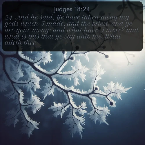 citation biblique : 24. And he said, Ye have taken away my gods which I made, and the priest, and ye are gone away: and what have I more? and what is this that ye say unto me, What aileth thee?
 sur fond image nature