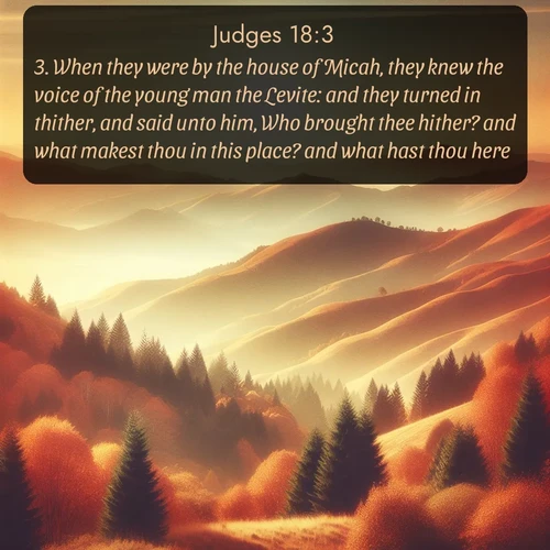 citation biblique : 3. When they were by the house of Micah, they knew the voice of the young man the Levite: and they turned in thither, and said unto him, Who brought thee hither? and what makest thou in this place? and what hast thou here?
 sur fond image nature