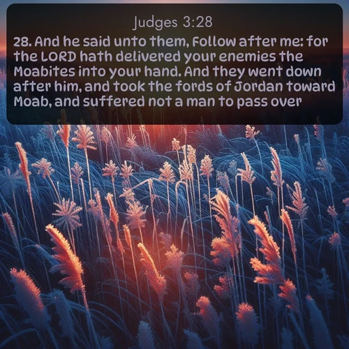 citation biblique : 28. And he said unto them, Follow after me: for the LORD hath delivered your enemies the Moabites into your hand. And they went down after him, and took the fords of Jordan toward Moab, and suffered not a man to pass over.
 sur fond image nature