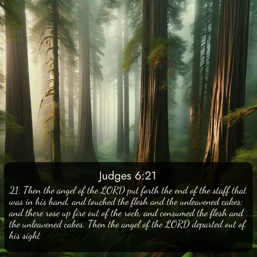 KJV Judges  ; image nature: image with the bible verse :Then the angel of the LORD put forth the end of the staff that was in his hand, and touched the flesh and the unleavened cakes; and there rose up fire out of the rock, and consumed the flesh and the unleavened cakes. Then the angel of the LORD departed out of his sight. ; Download Bible verse images featuring vibrant photos of nature, from snowy landscapes to golden deserts. These free images are perfect for phone wallpapers, desktop backgrounds, or sharing. Verses include KJV Judges 6:21. Current verse is overlayed with the thematic nature scene : Coastal redwoods disappear into the fog high above a fern grove. ; 6:21