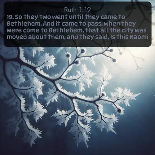 citation biblique : 19. So they two went until they came to Bethlehem. And it came to pass, when they were come to Bethlehem, that all the city was moved about them, and they said, Is this Naomi?
 sur fond image nature