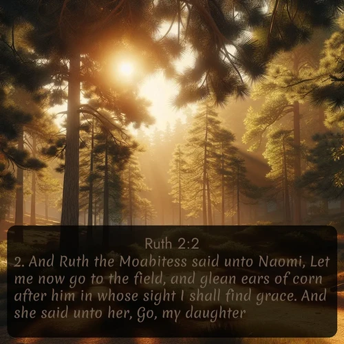 citation biblique : 2. And Ruth the Moabitess said unto Naomi, Let me now go to the field, and glean ears of corn after him in whose sight I shall find grace. And she said unto her, Go, my daughter.
 sur fond image nature