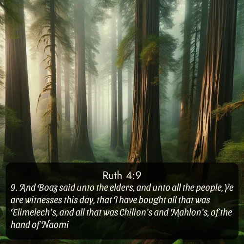 citation biblique : 9. And Boaz said unto the elders, and unto all the people, Ye are witnesses this day, that I have bought all that was Elimelech&#039;s, and all that was Chilion&#039;s and Mahlon&#039;s, of the hand of Naomi.
 sur fond image nature