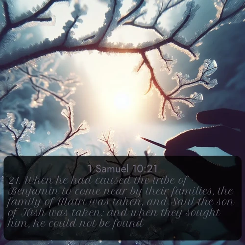 citation biblique : 21. When he had caused the tribe of Benjamin to come near by their families, the family of Matri was taken, and Saul the son of Kish was taken: and when they sought him, he could not be found.
 sur fond image nature
