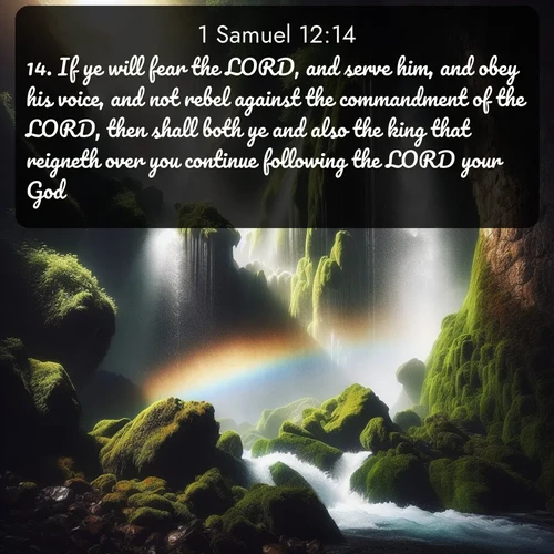citation biblique : 14. If ye will fear the LORD, and serve him, and obey his voice, and not rebel against the commandment of the LORD, then shall both ye and also the king that reigneth over you continue following the LORD your God:
 sur fond image nature