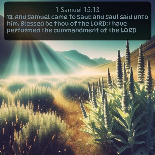 citation biblique : 13. And Samuel came to Saul: and Saul said unto him, Blessed be thou of the LORD: I have performed the commandment of the LORD.
 sur fond image nature