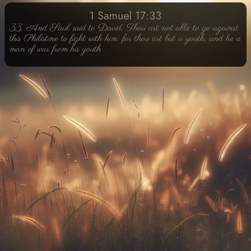 citation biblique : 33. And Saul said to David, Thou art not able to go against this Philistine to fight with him: for thou art but a youth, and he a man of war from his youth.
 sur fond image nature