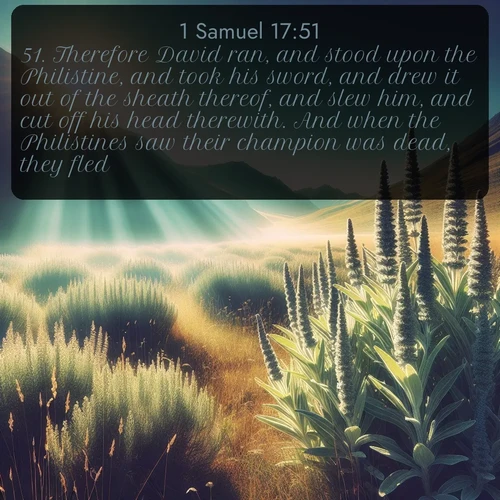 citation biblique : 51. Therefore David ran, and stood upon the Philistine, and took his sword, and drew it out of the sheath thereof, and slew him, and cut off his head therewith. And when the Philistines saw their champion was dead, they fled.
 sur fond image nature