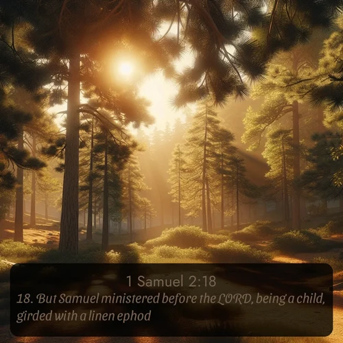 citation biblique : 18. But Samuel ministered before the LORD, being a child, girded with a linen ephod.
 sur fond image nature