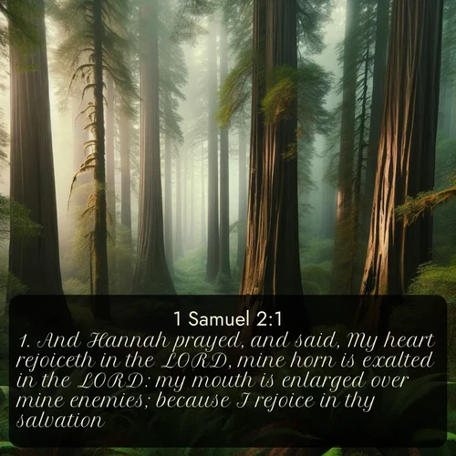 citation biblique : 1. And Hannah prayed, and said, My heart rejoiceth in the LORD, mine horn is exalted in the LORD: my mouth is enlarged over mine enemies; because I rejoice in thy salvation.
 sur fond image nature