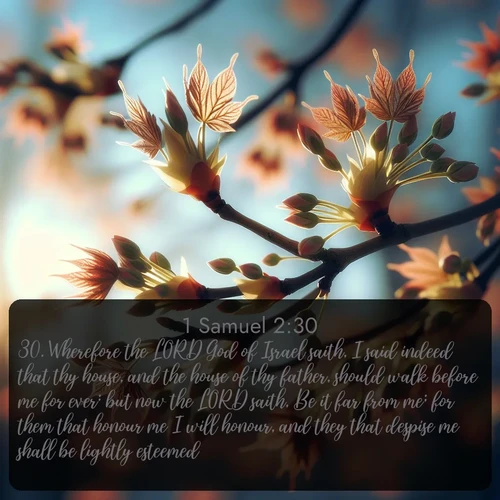 citation biblique : 30. Wherefore the LORD God of Israel saith, I said indeed that thy house, and the house of thy father, should walk before me for ever: but now the LORD saith, Be it far from me; for them that honour me I will honour, and they that despise me shall be lightly esteemed.
 sur fond image nature