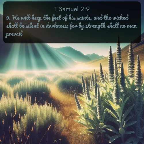 citation biblique : 9. He will keep the feet of his saints, and the wicked shall be silent in darkness; for by strength shall no man prevail.
 sur fond image nature