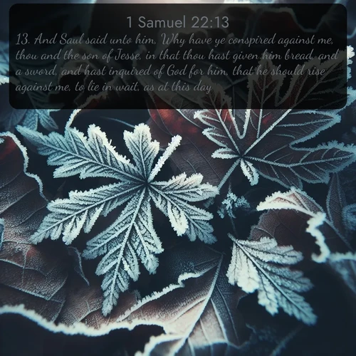 citation biblique : 13. And Saul said unto him, Why have ye conspired against me, thou and the son of Jesse, in that thou hast given him bread, and a sword, and hast inquired of God for him, that he should rise against me, to lie in wait, as at this day?
 sur fond image nature