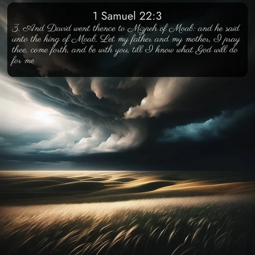 citation biblique : 3. And David went thence to Mizpeh of Moab: and he said unto the king of Moab, Let my father and my mother, I pray thee, come forth, and be with you, till I know what God will do for me.
 sur fond image nature