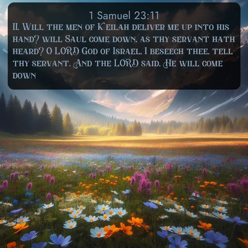 citation biblique : 11. Will the men of Keilah deliver me up into his hand? will Saul come down, as thy servant hath heard? O LORD God of Israel, I beseech thee, tell thy servant. And the LORD said, He will come down.
 sur fond image nature
