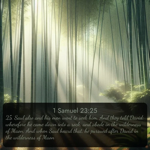 citation biblique : 25. Saul also and his men went to seek him. And they told David: wherefore he came down into a rock, and abode in the wilderness of Maon. And when Saul heard that, he pursued after David in the wilderness of Maon.
 sur fond image nature