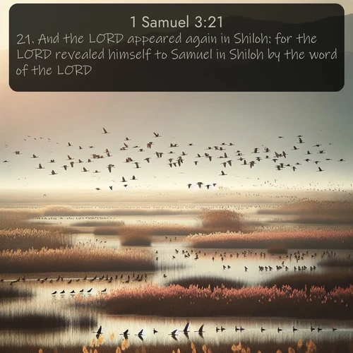 citation biblique : 21. And the LORD appeared again in Shiloh: for the LORD revealed himself to Samuel in Shiloh by the word of the LORD.
 sur fond image nature