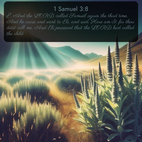 citation biblique : 8. And the LORD called Samuel again the third time. And he arose and went to Eli, and said, Here am I; for thou didst call me. And Eli perceived that the LORD had called the child.
 sur fond image nature