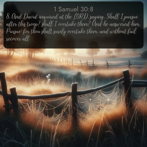 citation biblique : 8. And David inquired at the LORD, saying, Shall I pursue after this troop? shall I overtake them? And he answered him, Pursue: for thou shalt surely overtake them, and without fail recover all.
 sur fond image nature