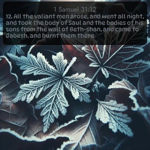 KJV 1 Samuel  ; image nature: image with the bible verse :All the valiant men arose, and went all night, and took the body of Saul and the bodies of his sons from the wall of Beth-shan, and came to Jabesh, and burnt them there. ; Explore a collection of inspiring Bible verse images accompanied by winter photos, such as snowy landscapes, frosted trees, and frozen lakes. These images reflect the peace and purity of God&#039;s creation, with elegant fonts and luminous colors. Download and share verses like KJV 1 Samuel 31:12. Current verse is overlayed with the thematic nature scene : Winter frost creates delicate patterns on fallen leaves. ; 31:12