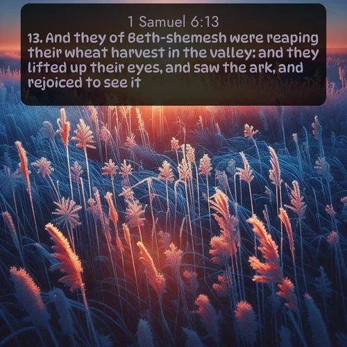 KJV 1 Samuel  ; image nature: image with the bible verse :And they of Beth-shemesh were reaping their wheat harvest in the valley: and they lifted up their eyes, and saw the ark, and rejoiced to see it. ; Admire Bible verse images capturing the beauty of beaches, with turquoise waters, palm trees, and peaceful shores. These soothing scenes reflect God&#039;s serenity and majesty. Download and share verses like KJV 1 Samuel 6:13. Current verse is overlayed with the thematic nature scene : Winter sunrise illuminates frost-covered prairie grass. ; 6:13